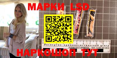 прущие грибы Новокубанск