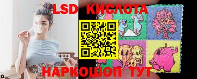прущие грибы Новокубанск