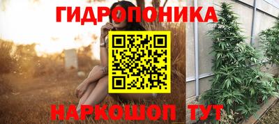 mdpv Новодвинск