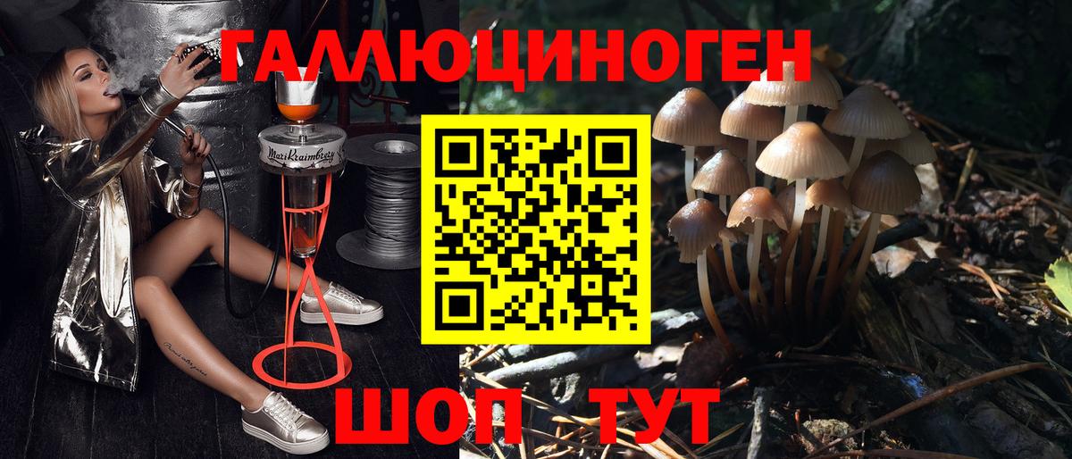 Галлюциногенные грибы прущие грибы  Вход с VPN  Таганрог 