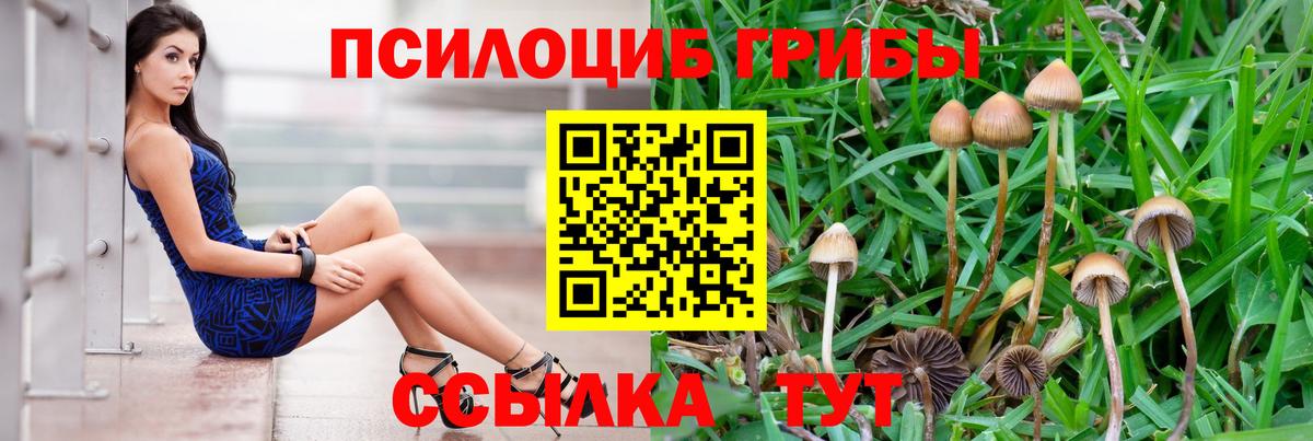 Галлюциногенные грибы мицелий Таганрог
